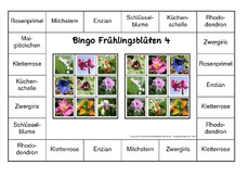 Bingo-Frühlingsblüten-4.pdf
